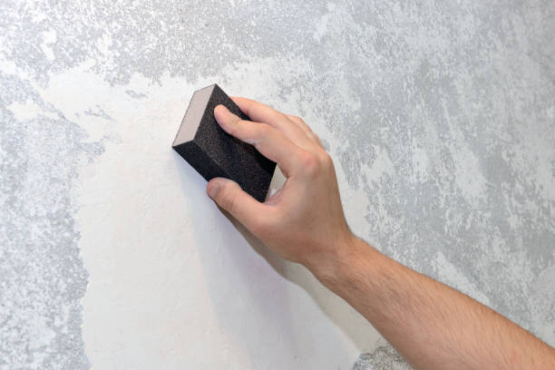 Best Mold Remediation for Healthcare Facilities  in Rangely, CO