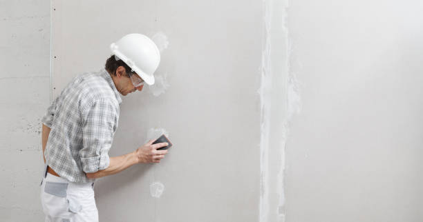 Best Crawl Space Mold Remediation  in Rangely, CO