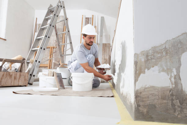 Best Post-Construction Mold Inspection  in Rangely, CO