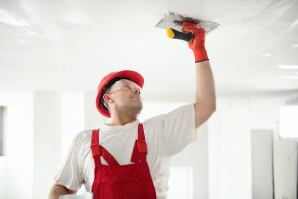 Best Real Estate Mold Inspection  in Rangely, CO