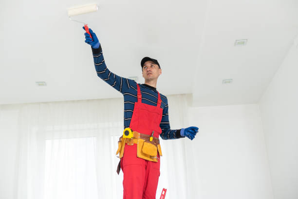 Best Attic Mold Removal  in Rangely, CO