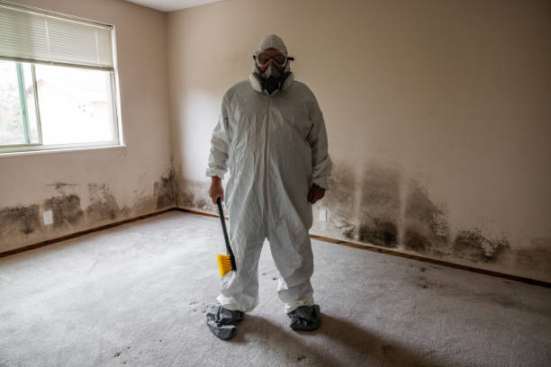 Best Industrial Mold Remediation  in Rangely, CO