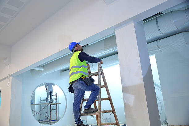 Best Water Damage & Mold Remediation  in Rangely, CO