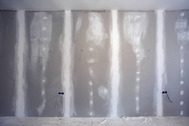 Best Black Mold Removal  in Rangely, CO